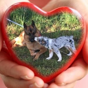 Meet your Posher, Cindi mertens